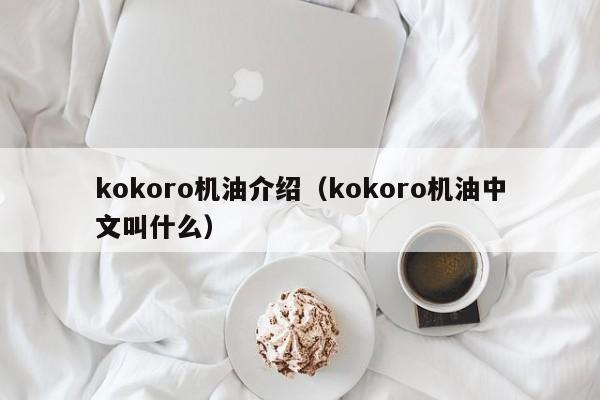 kokoro机油介绍（kokoro机油中文叫什么）