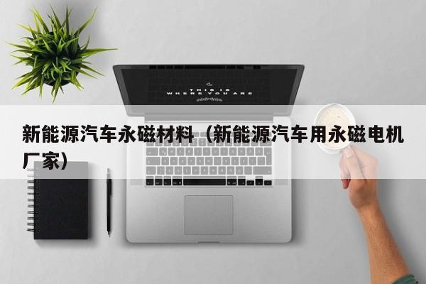 新能源汽车永磁材料（新能源汽车用永磁电机厂家）