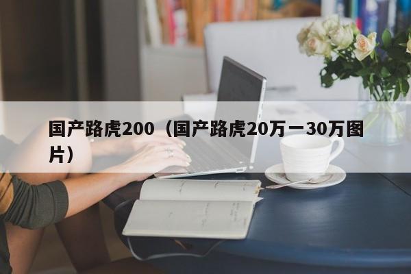 国产路虎200（国产路虎20万一30万图片）