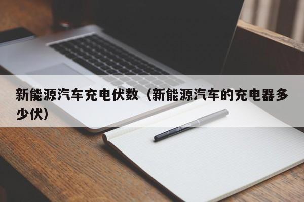 新能源汽车充电伏数（新能源汽车的充电器多少伏）