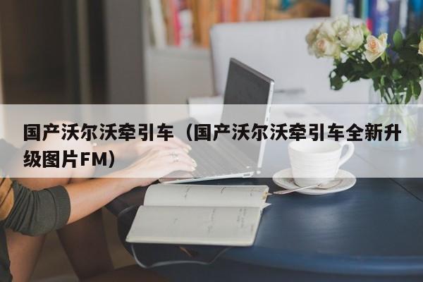 国产沃尔沃牵引车（国产沃尔沃牵引车全新升级图片FM）