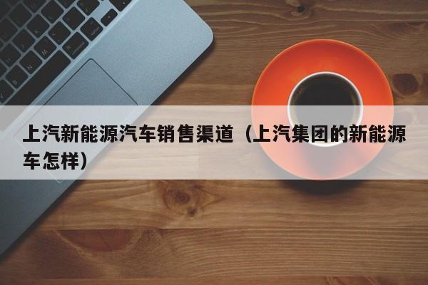 上汽新能源汽车销售渠道（上汽集团的新能源车怎样）