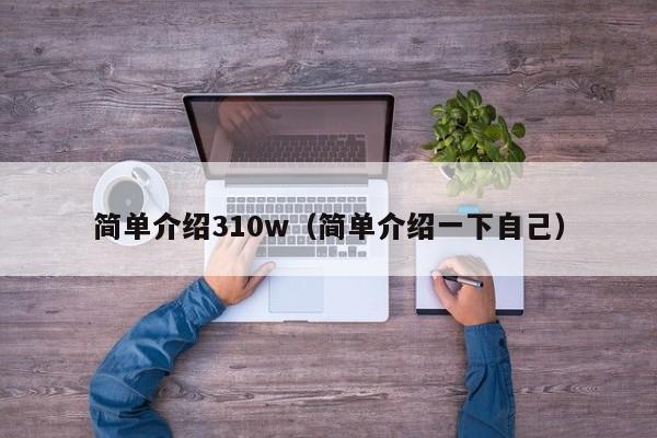 简单介绍310w（简单介绍一下自己）