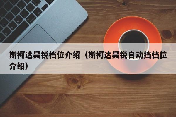 斯柯达昊锐档位介绍（斯柯达昊锐自动挡档位介绍）