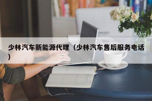 少林汽车新能源代理（少林汽车售后服务电话）