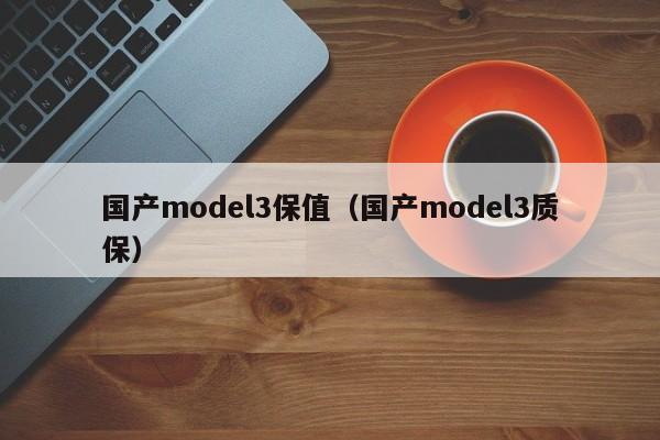 国产model3保值（国产model3质保）