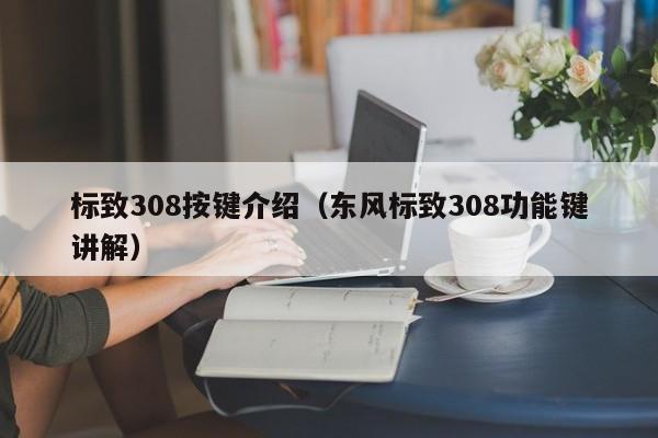 标致308按键介绍（东风标致308功能键讲解）