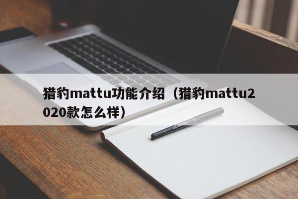 猎豹mattu功能介绍（猎豹mattu2020款怎么样）