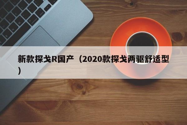 新款探戈R国产（2020款探戈两驱舒适型）