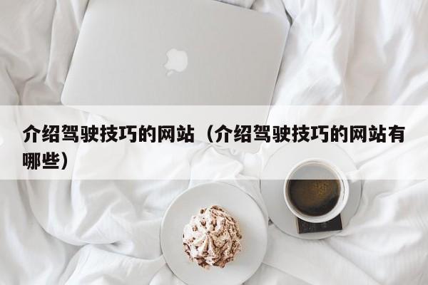 介绍驾驶技巧的网站（介绍驾驶技巧的网站有哪些）