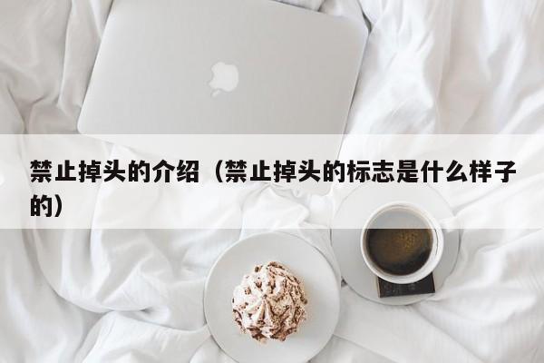 禁止掉头的介绍（禁止掉头的标志是什么样子的）