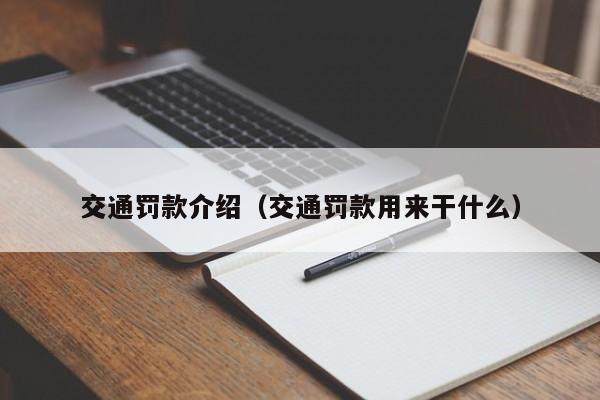 交通罚款介绍（交通罚款用来干什么）