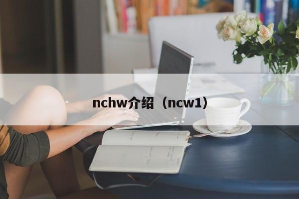 nchw介绍（ncw1）