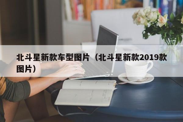 北斗星新款车型图片（北斗星新款2019款图片）