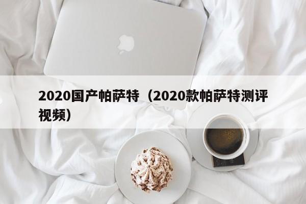 2020国产帕萨特（2020款帕萨特测评视频）