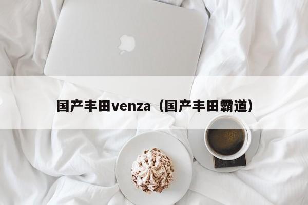 国产丰田venza（国产丰田霸道）