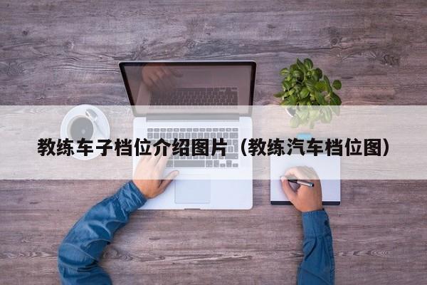 教练车子档位介绍图片（教练汽车档位图）