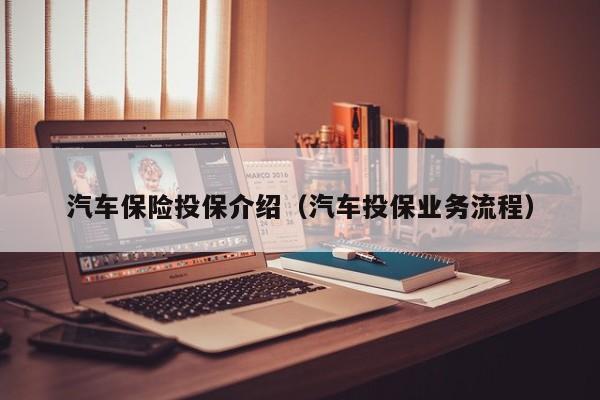 汽车保险投保介绍（汽车投保业务流程）