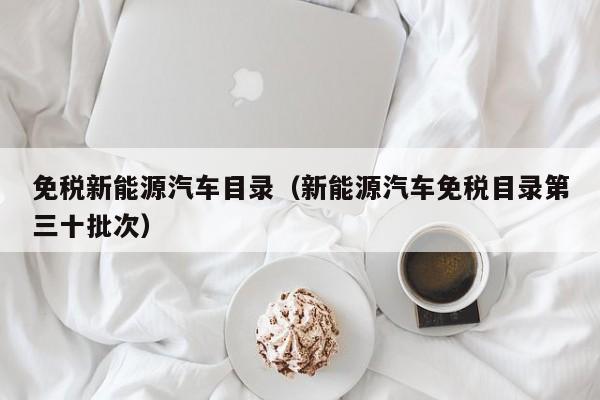 免税新能源汽车目录（新能源汽车免税目录第三十批次）