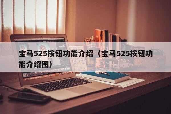 宝马525按钮功能介绍（宝马525按钮功能介绍图）