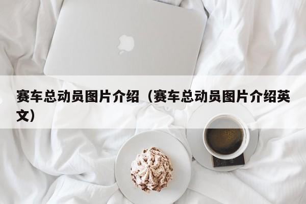 赛车总动员图片介绍（赛车总动员图片介绍英文）