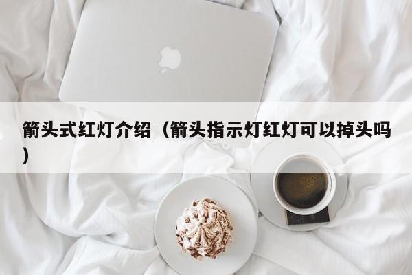 箭头式红灯介绍（箭头指示灯红灯可以掉头吗）