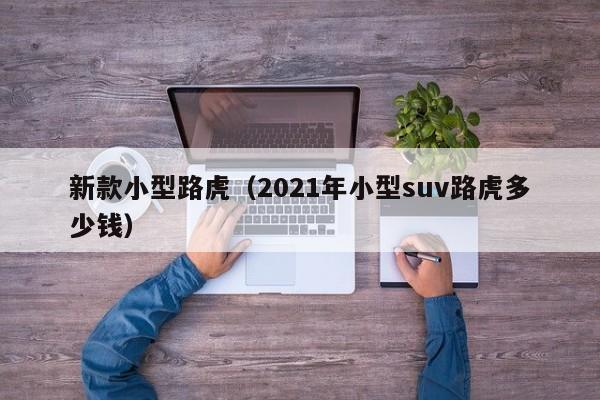 新款小型路虎（2021年小型suv路虎多少钱）