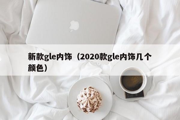 新款gle内饰（2020款gle内饰几个颜色）