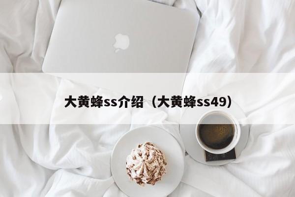 大黄蜂ss介绍（大黄蜂ss49）