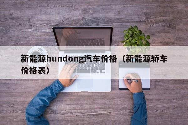 新能源hundong汽车价格（新能源轿车价格表）