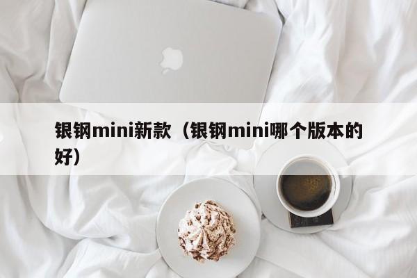 银钢mini新款（银钢mini哪个版本的好）