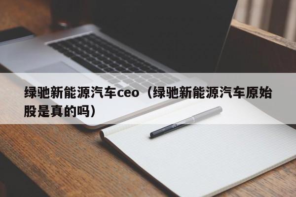 绿驰新能源汽车ceo（绿驰新能源汽车原始股是真的吗）