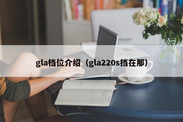 gla档位介绍（gla220s挡在那）