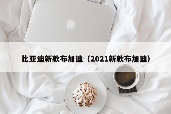 比亚迪新款布加迪（2021新款布加迪）