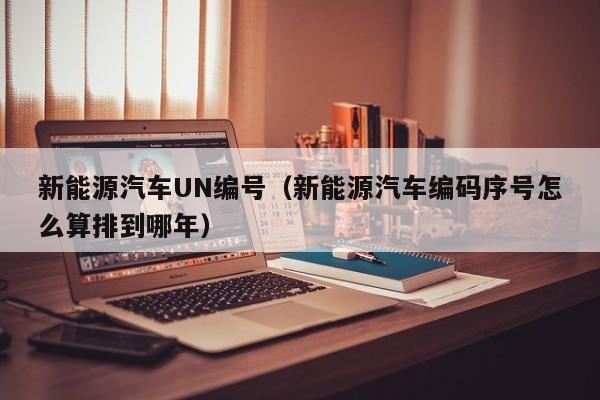 新能源汽车UN编号（新能源汽车编码序号怎么算排到哪年）