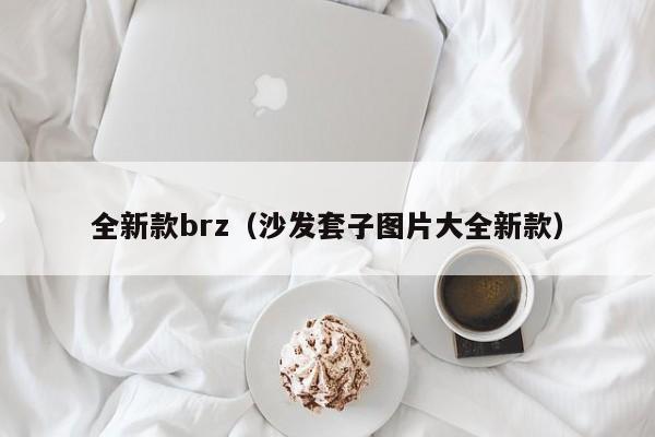 全新款brz（沙发套子图片大全新款）