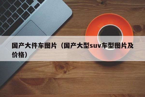 国产大件车图片（国产大型suv车型图片及价格）