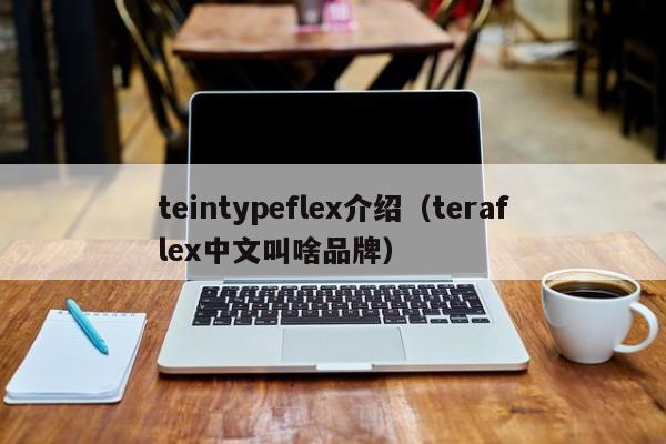 teintypeflex介绍（teraflex中文叫啥品牌）