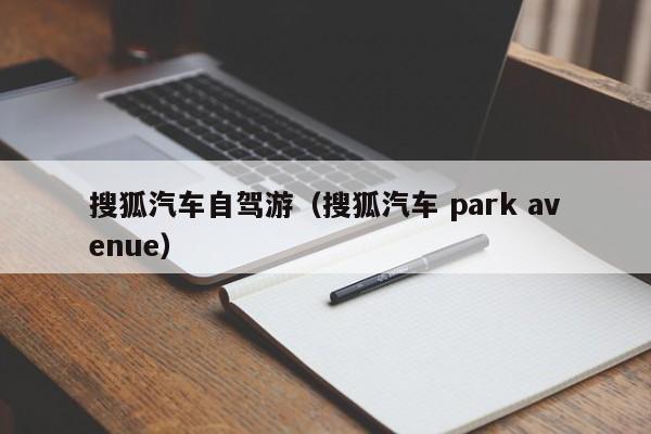 搜狐汽车自驾游（搜狐汽车 park avenue）