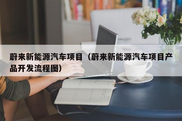 蔚来新能源汽车项目（蔚来新能源汽车项目产品开发流程图）