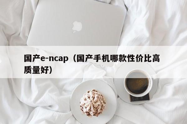 国产e-ncap（国产手机哪款性价比高 质量好）